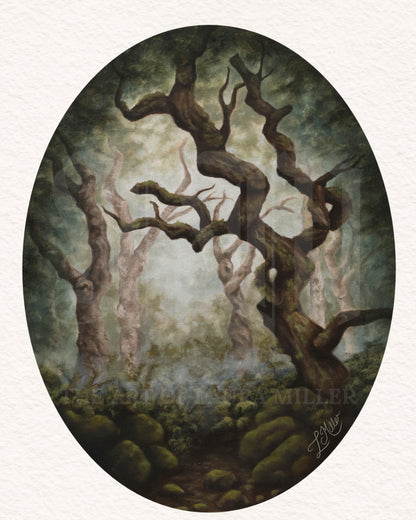 "Misty Woodland"  Unframed Fine Art Print