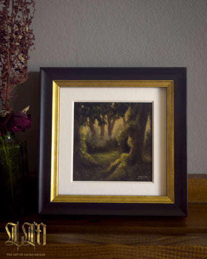 Secluded Hollow - Framed Fine Art Print